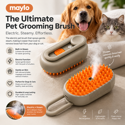 Steam Brush